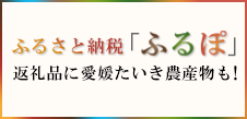 ふるさと納税「ふるぽ」返礼品に愛媛たいき農産物も！