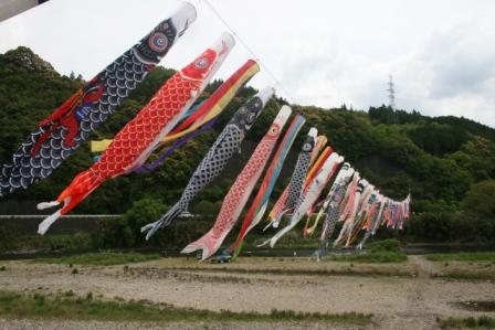 １７０メートルの川幅に約１００匹の鯉のぼり