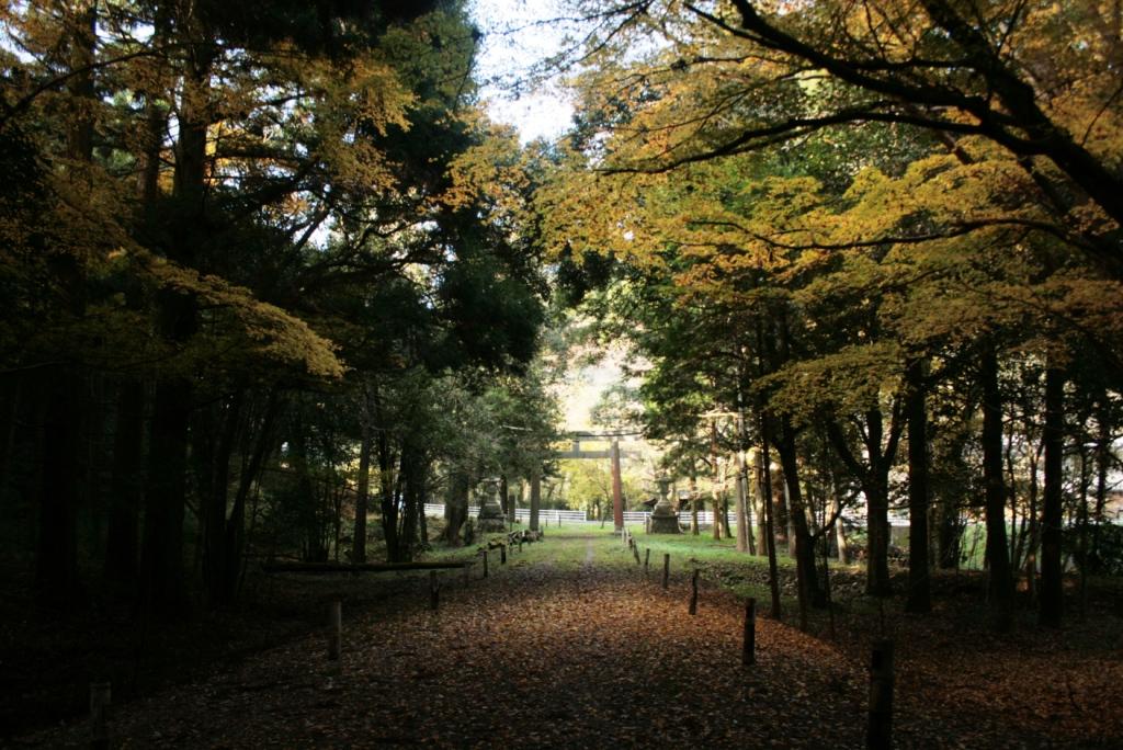 参道