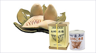 たけのこ缶詰