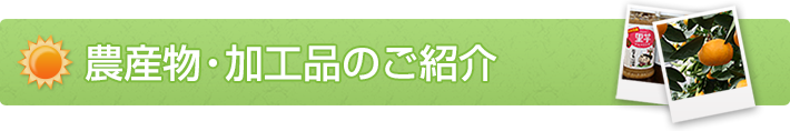 農産物・加工品のご紹介